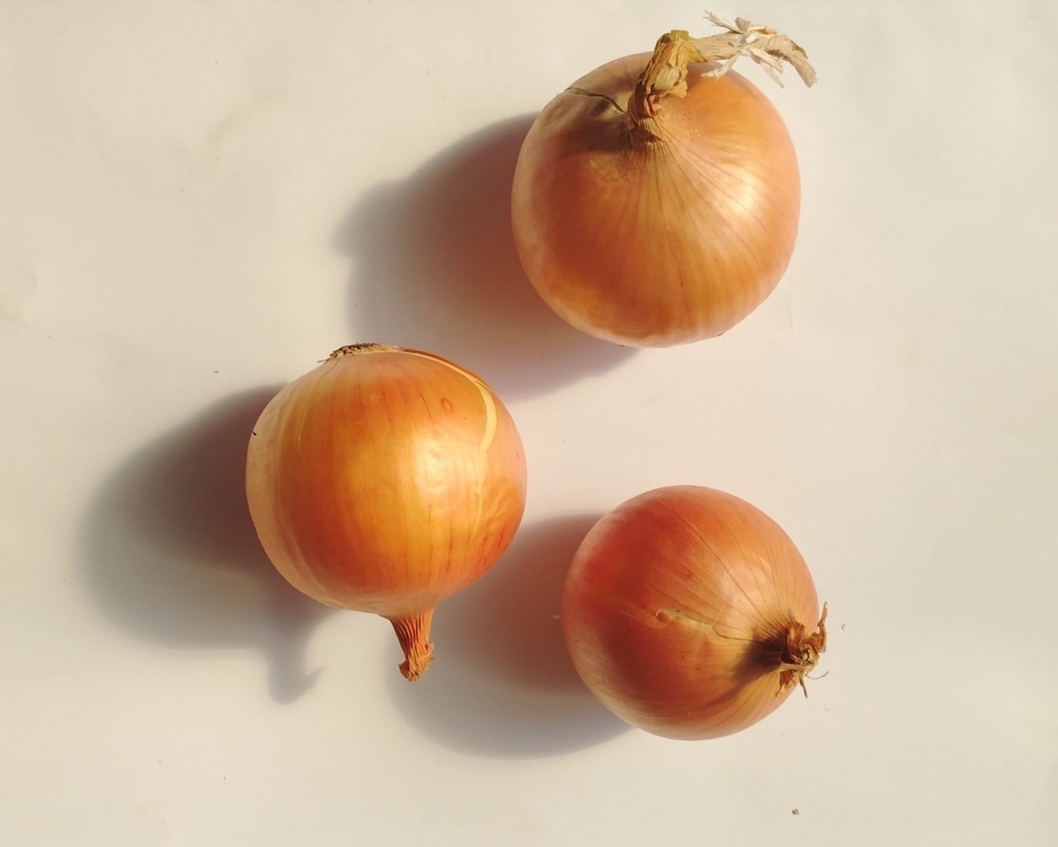 Onions