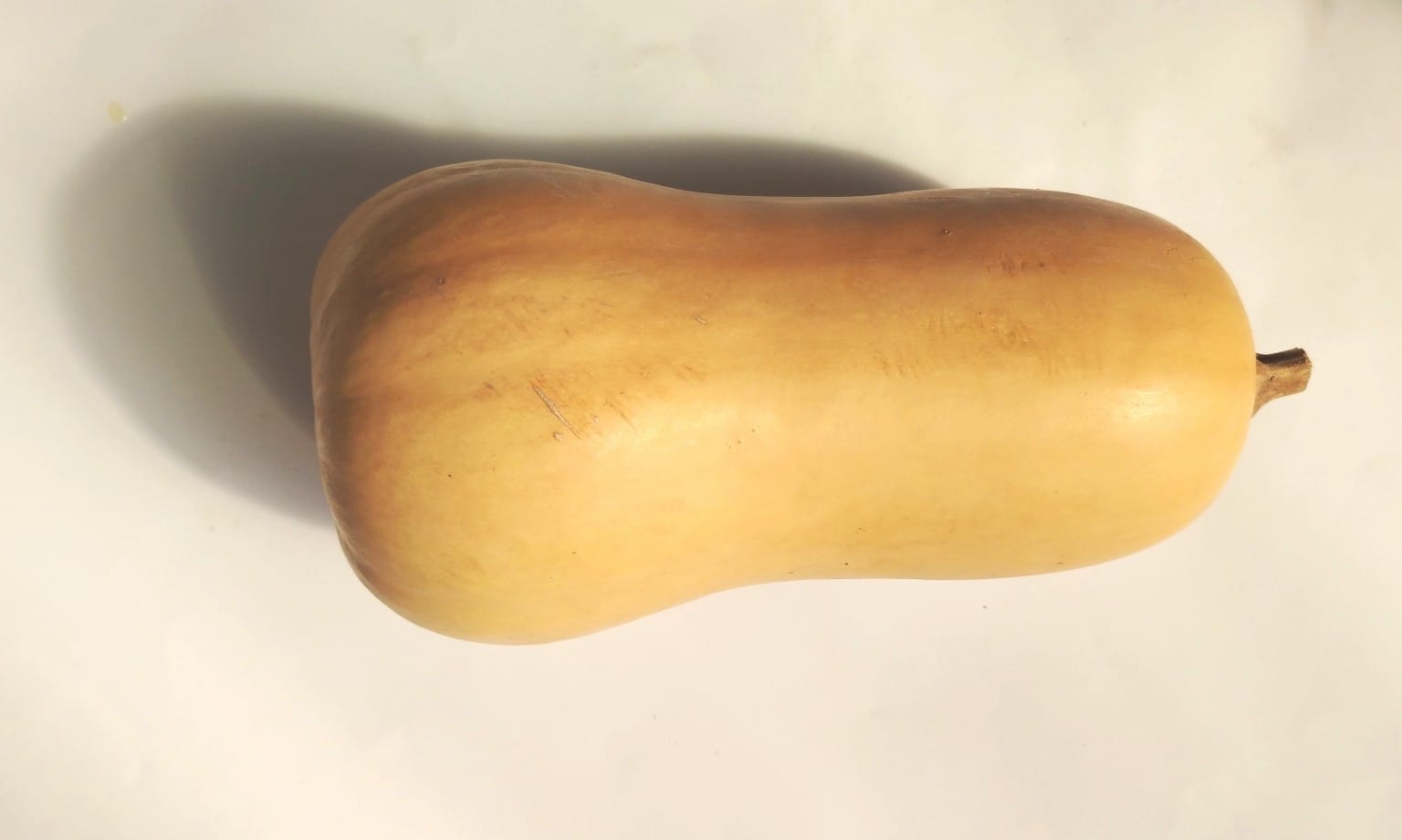 Butternut