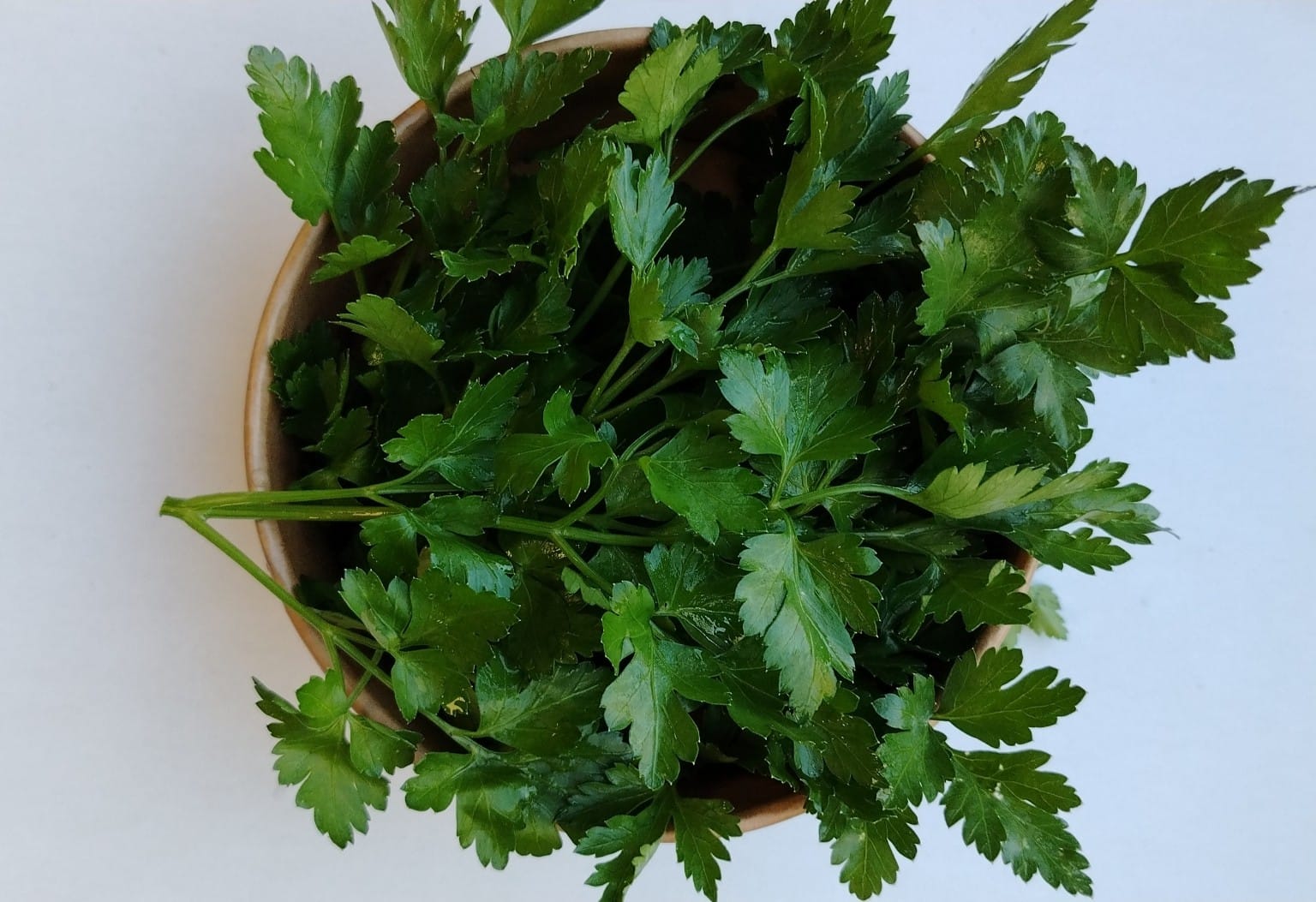 Parsley