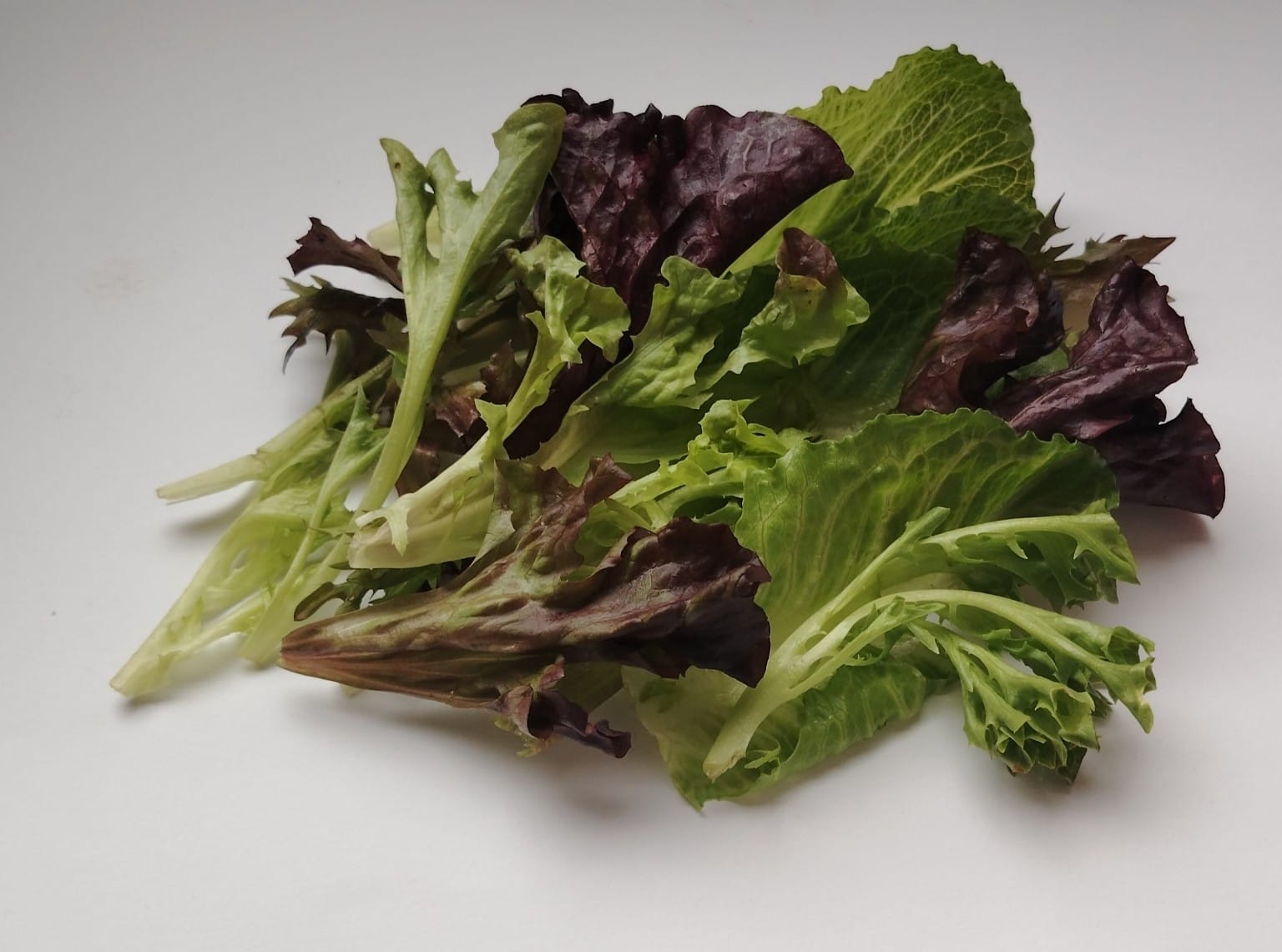 Mixed Lettuce