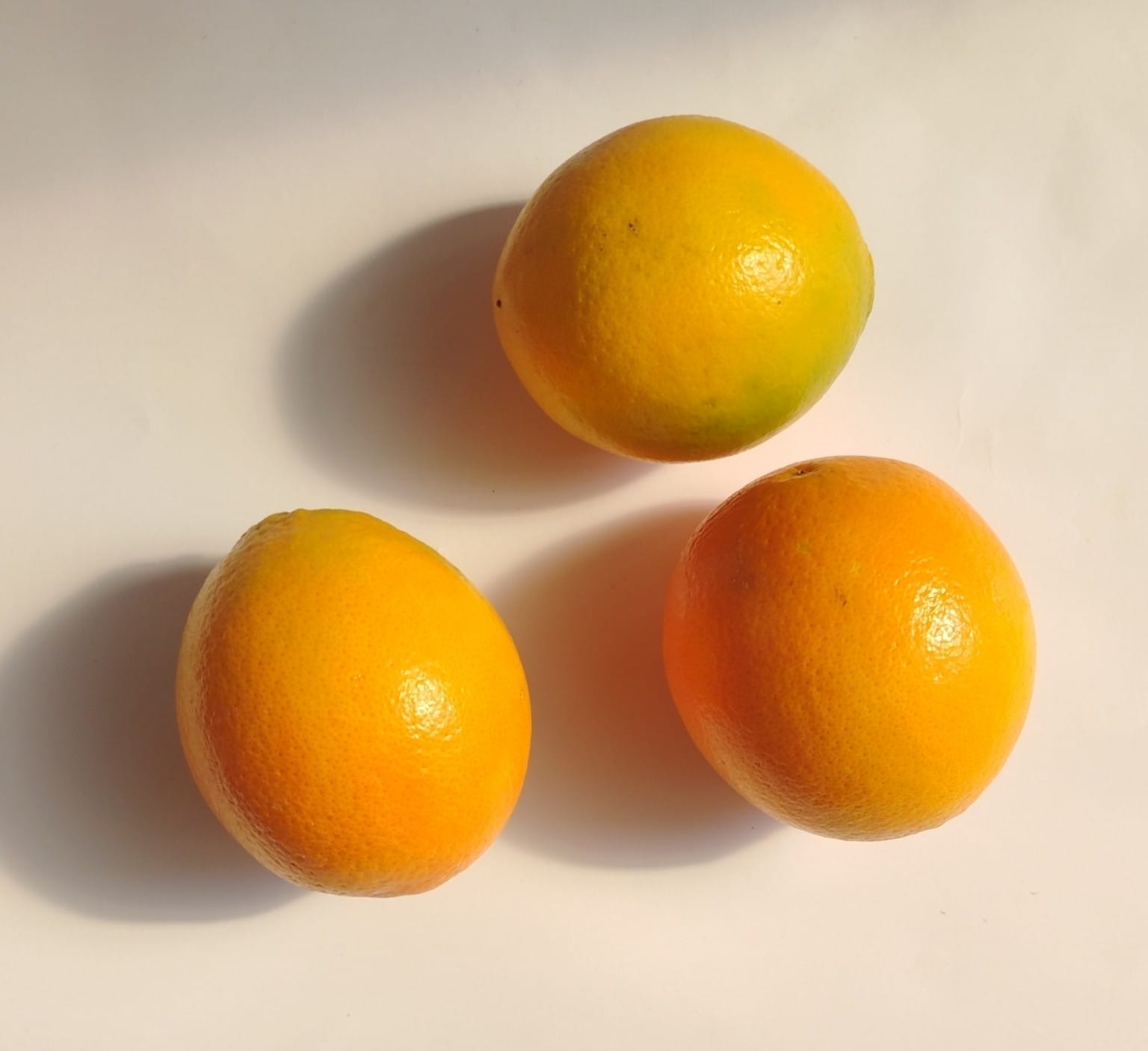 Oranges