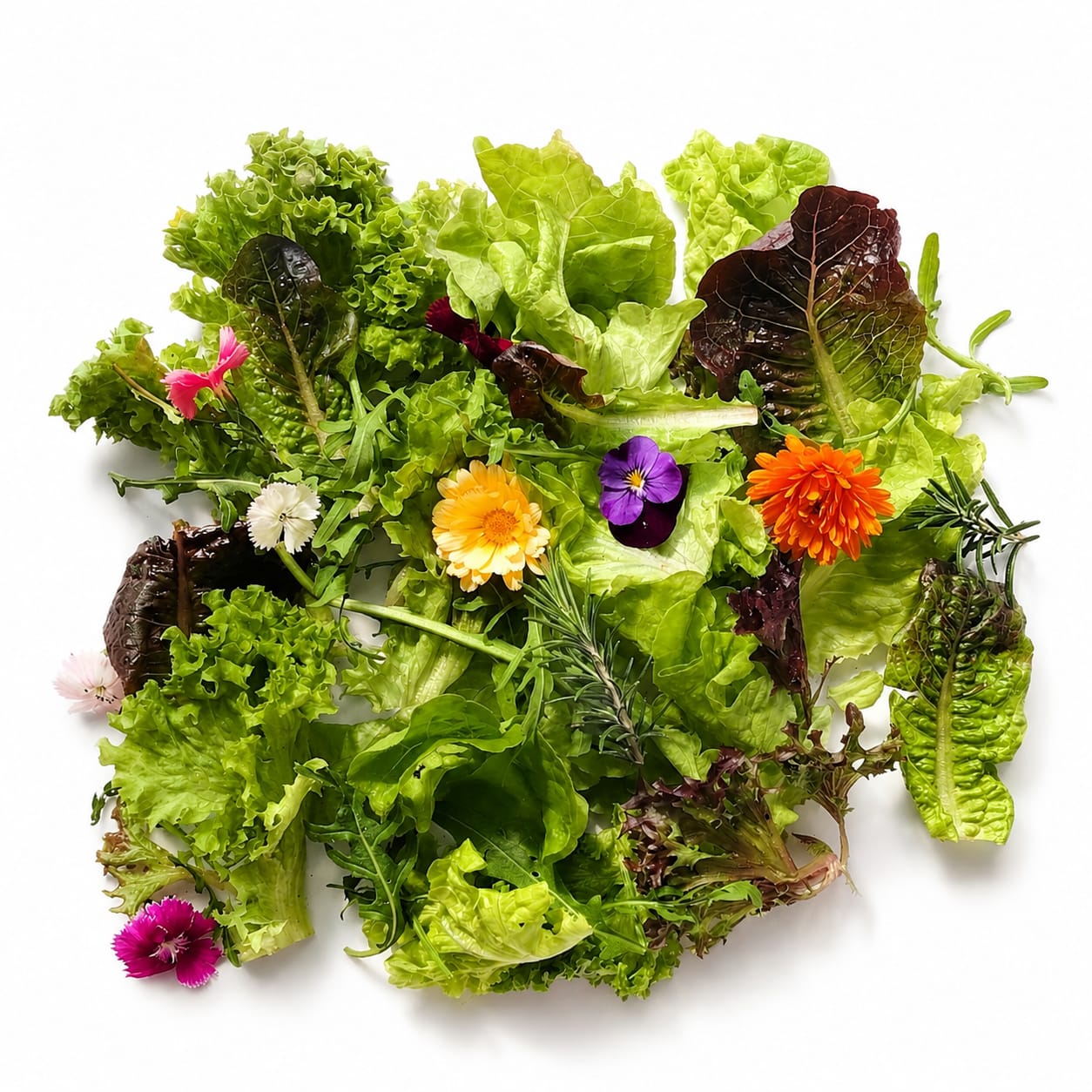 Salad Harvest