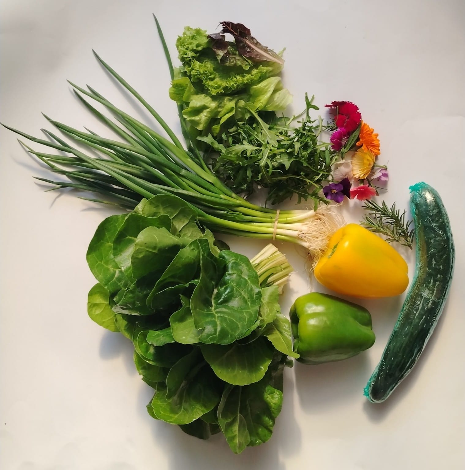 Seasonal Harvest Box