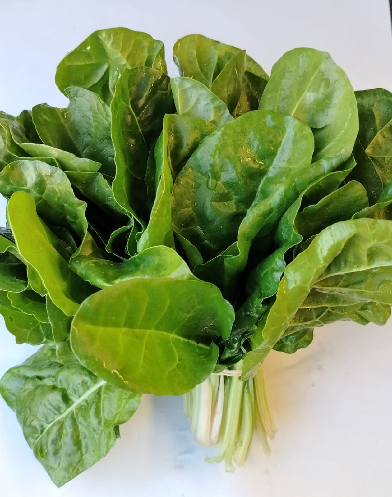 Spinach Bunch